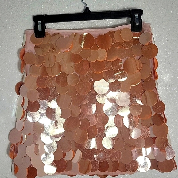 J Crew Collection circle-sequin mini skirt CA746 Sz 2, NWT - Picture 5 of 7